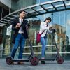 8.5 Inch Inner Honeycomb Tire 36V 10A.h Electric Scooter Black